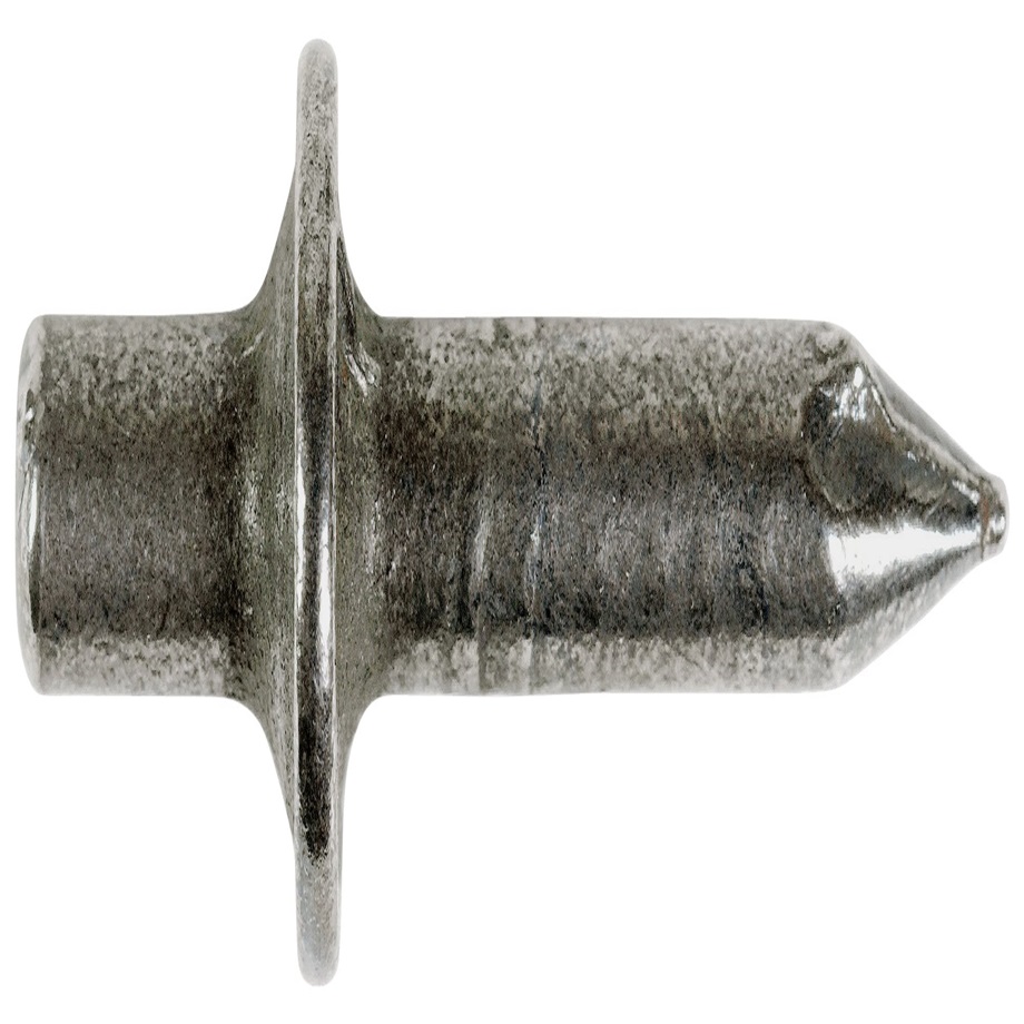 245571-1.jpg