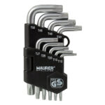 Serie Chiavi Maschio torx con Foro Maurer 86173