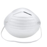 Mascherine Antipolvere 50 pezzi