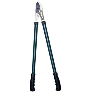 Taglia Rami Papillon 83405